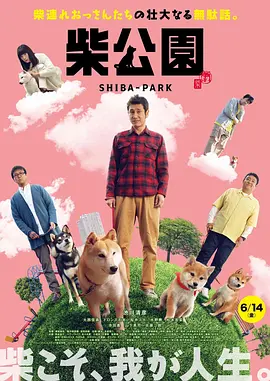 久久av在线看