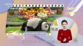 精品影视网站入口